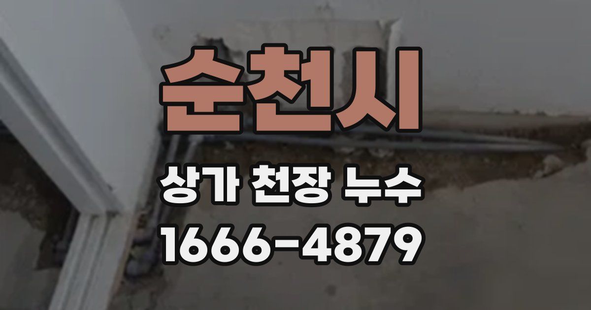 순천시 상가 천장 누수