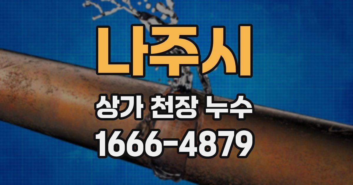 나주시 상가 천장 누수