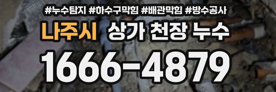 나주시 상가 천장 누수