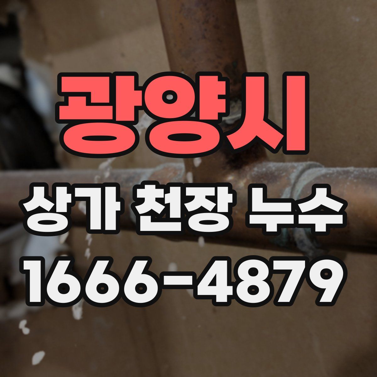 광양시 상가 천장 누수