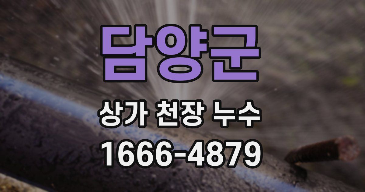 담양군 상가 천장 누수