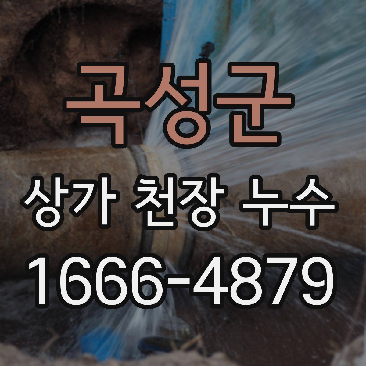곡성군 상가 천장 누수