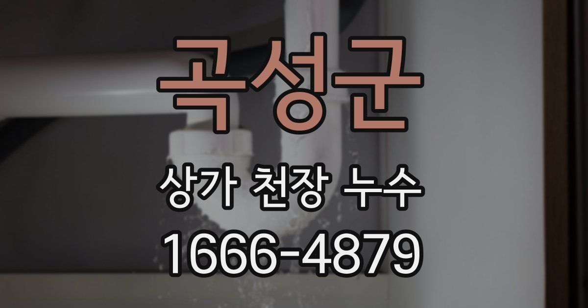 곡성군 상가 천장 누수