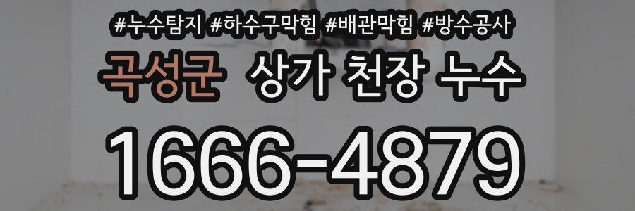 곡성군 상가 천장 누수