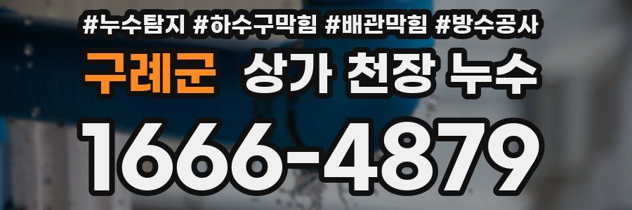 구례군 상가 천장 누수