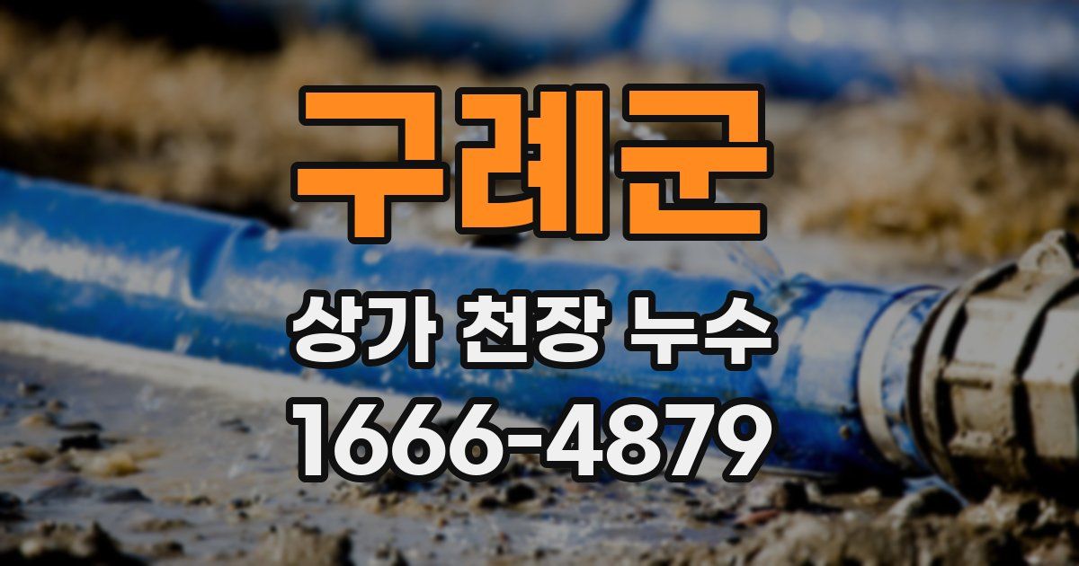 구례군 상가 천장 누수