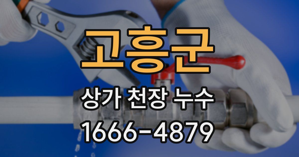 고흥군 상가 천장 누수