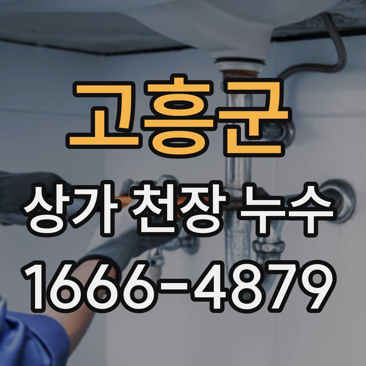 고흥군 상가 천장 누수