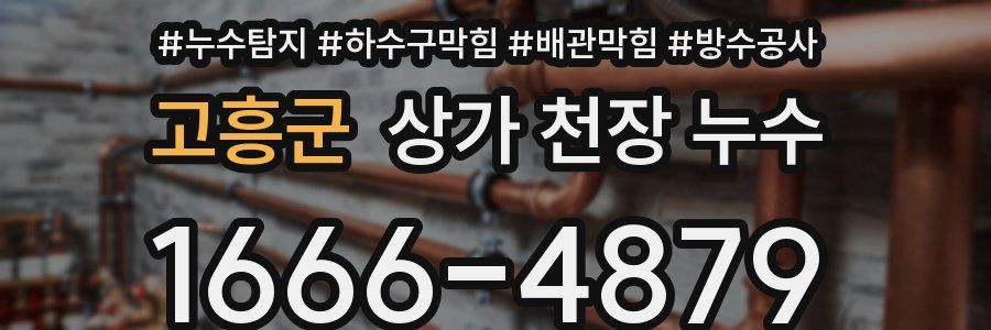 고흥군 상가 천장 누수