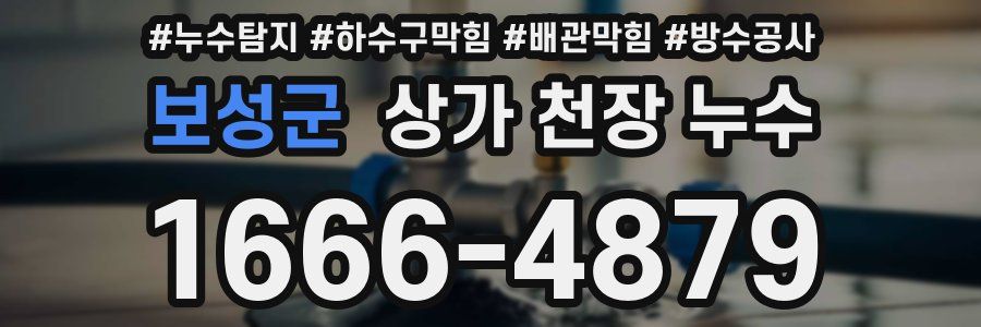 보성군 상가 천장 누수