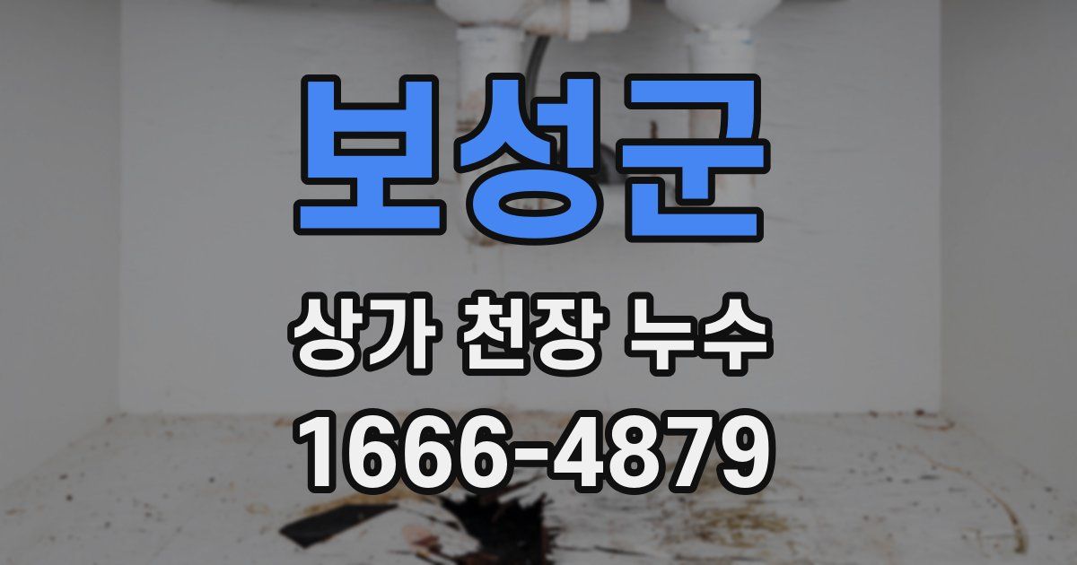 보성군 상가 천장 누수