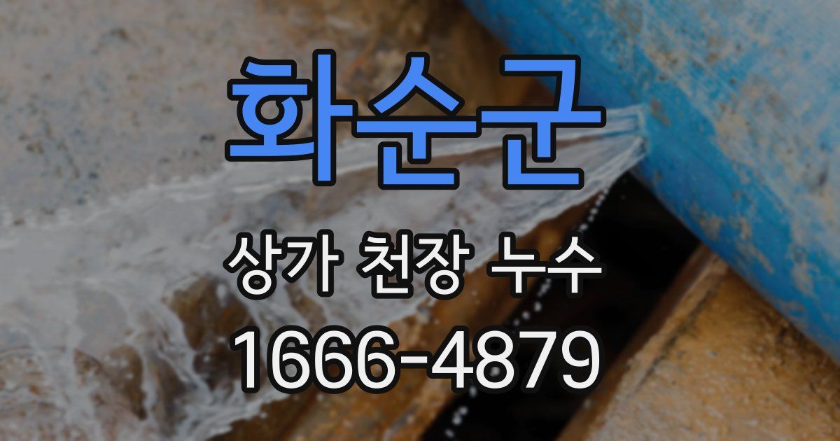화순군 상가 천장 누수