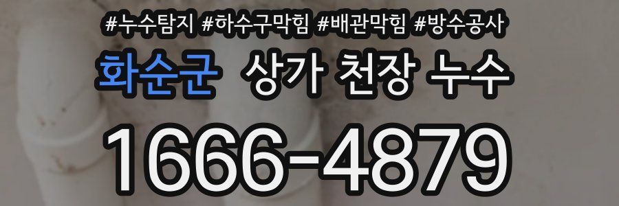 화순군 상가 천장 누수