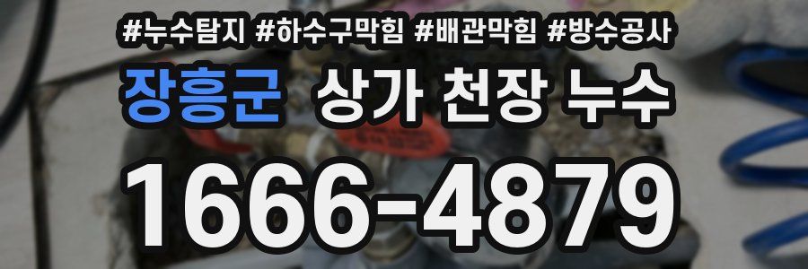 장흥군 상가 천장 누수