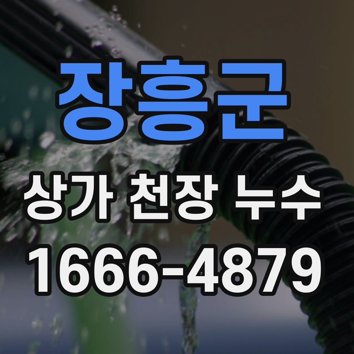 장흥군 상가 천장 누수