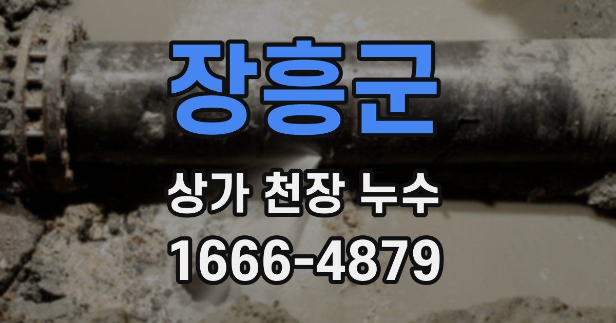 장흥군 상가 천장 누수