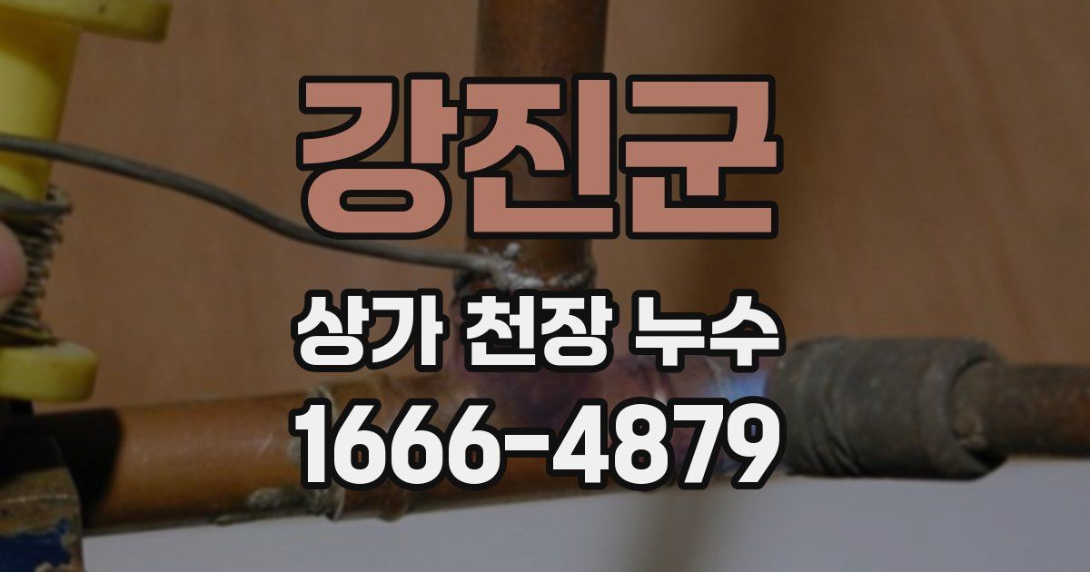 강진군 상가 천장 누수
