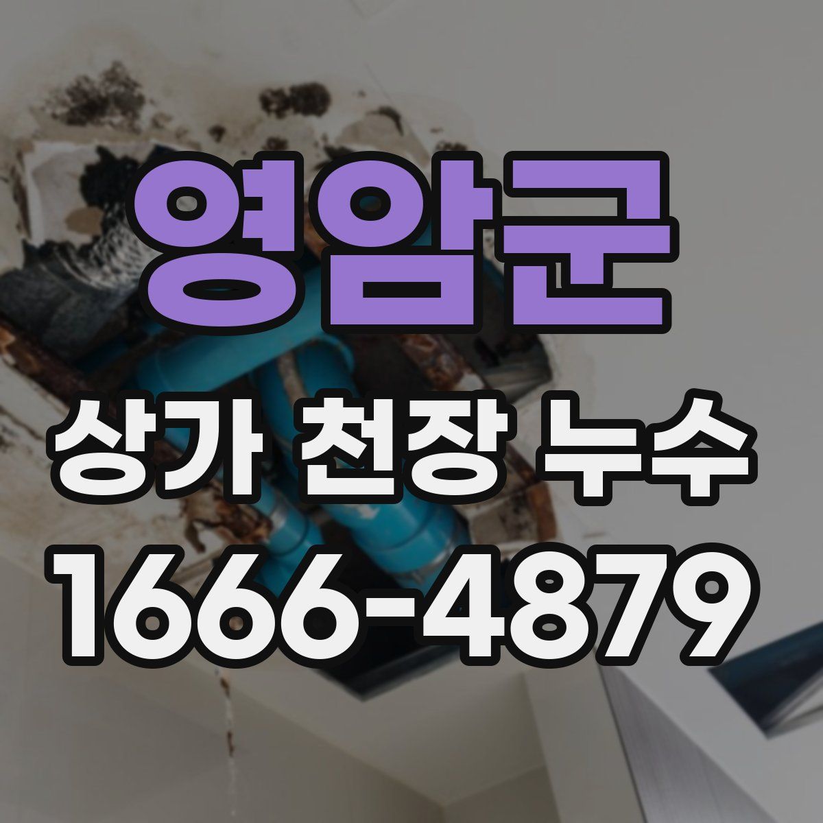 영암군 상가 천장 누수