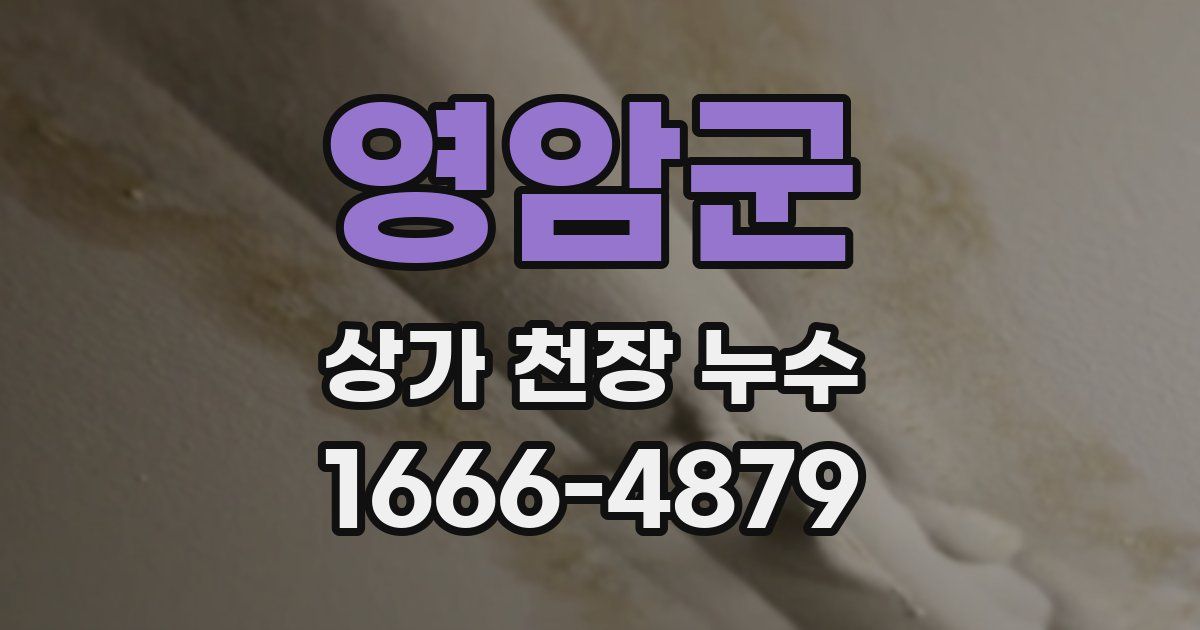 영암군 상가 천장 누수