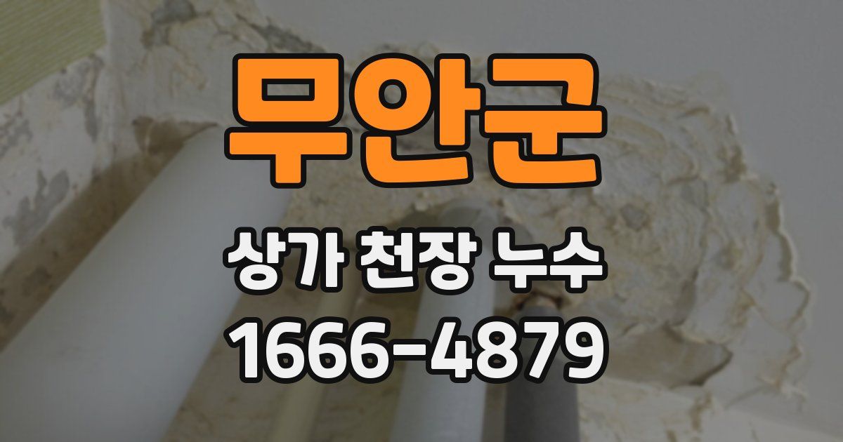 무안군 상가 천장 누수