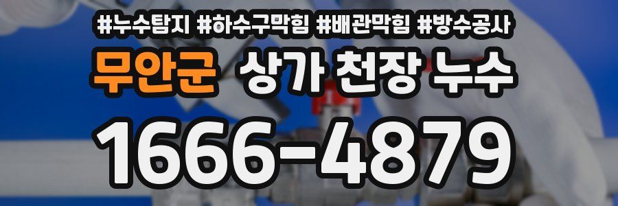 무안군 상가 천장 누수