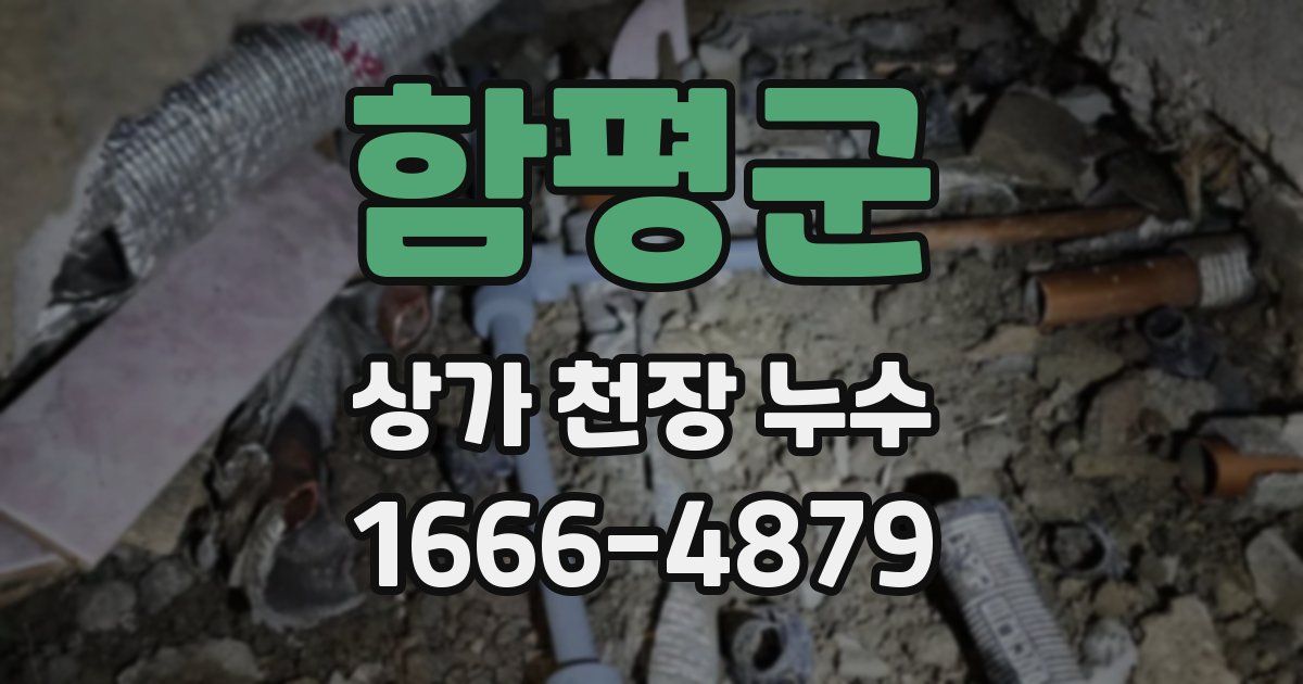 함평군 상가 천장 누수