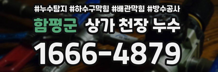 함평군 상가 천장 누수