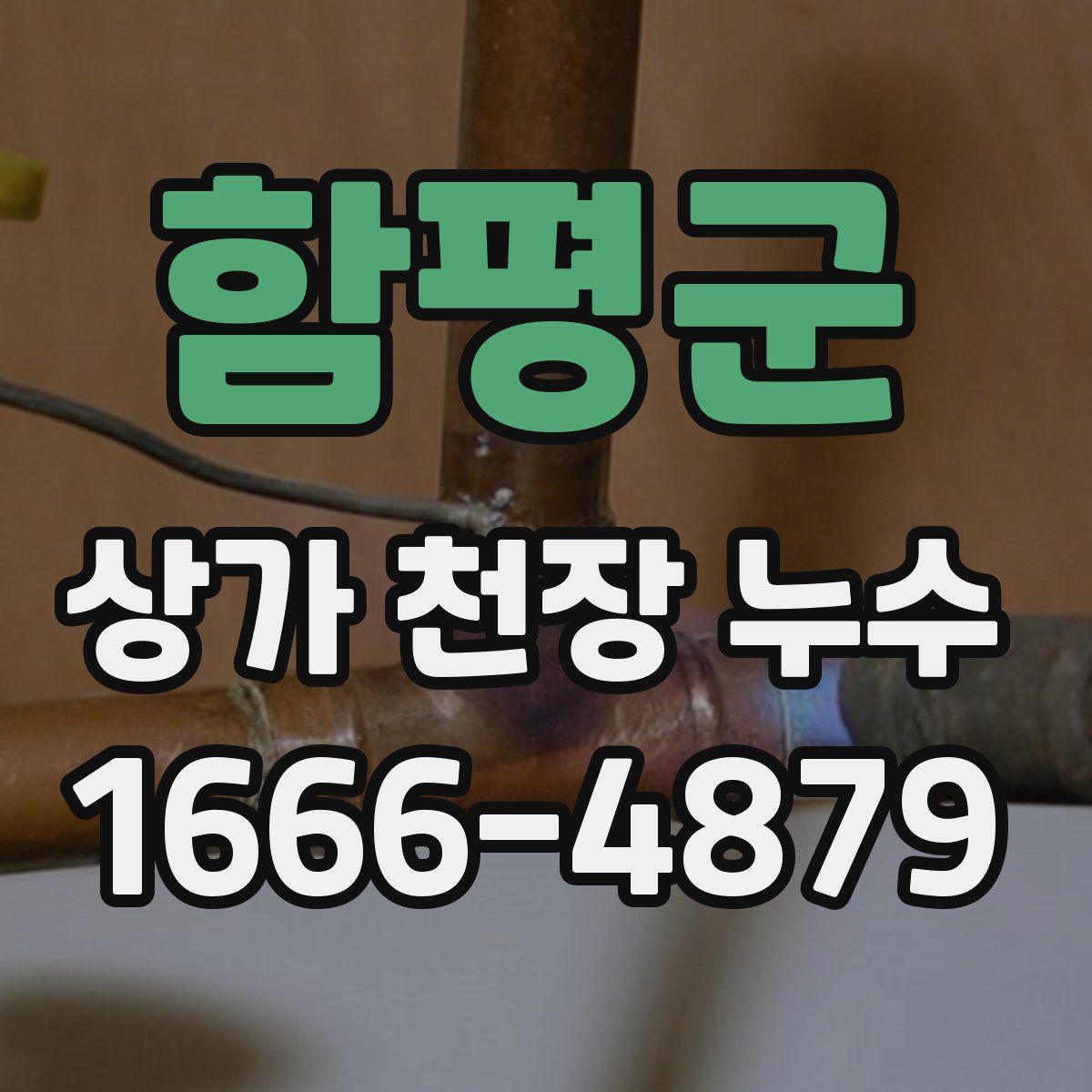 함평군 상가 천장 누수
