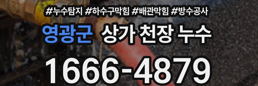 영광군 상가 천장 누수