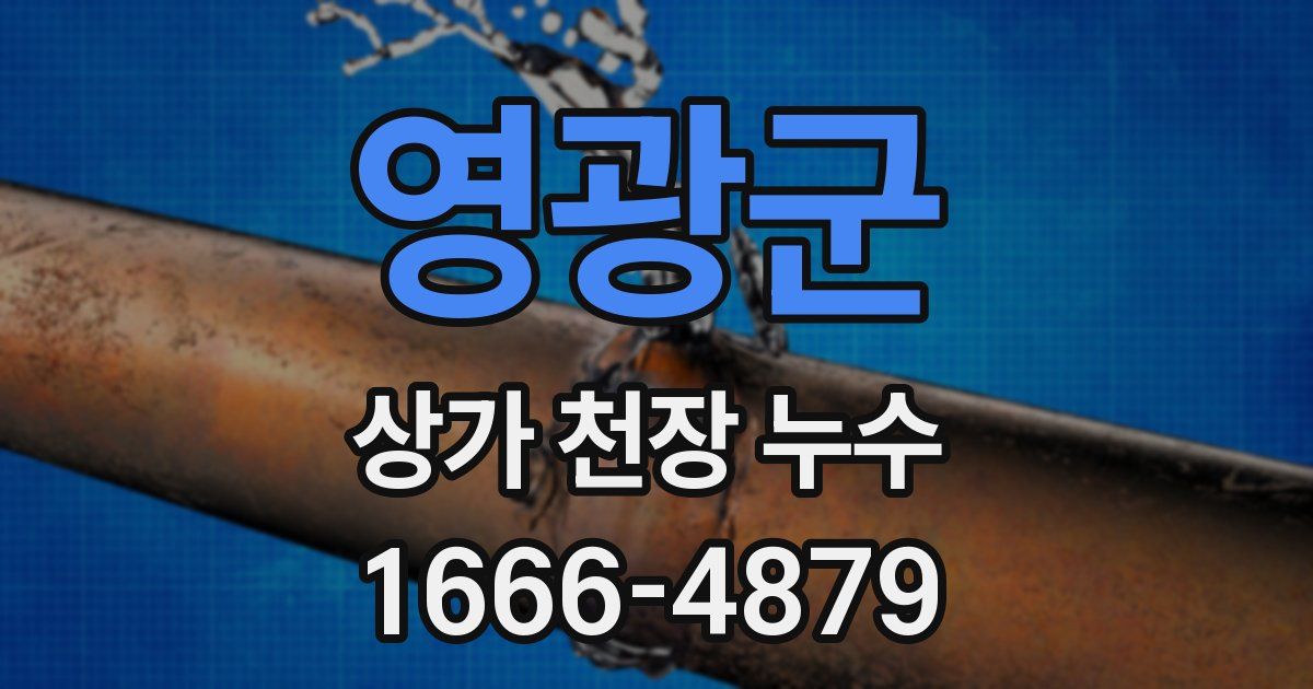 영광군 상가 천장 누수