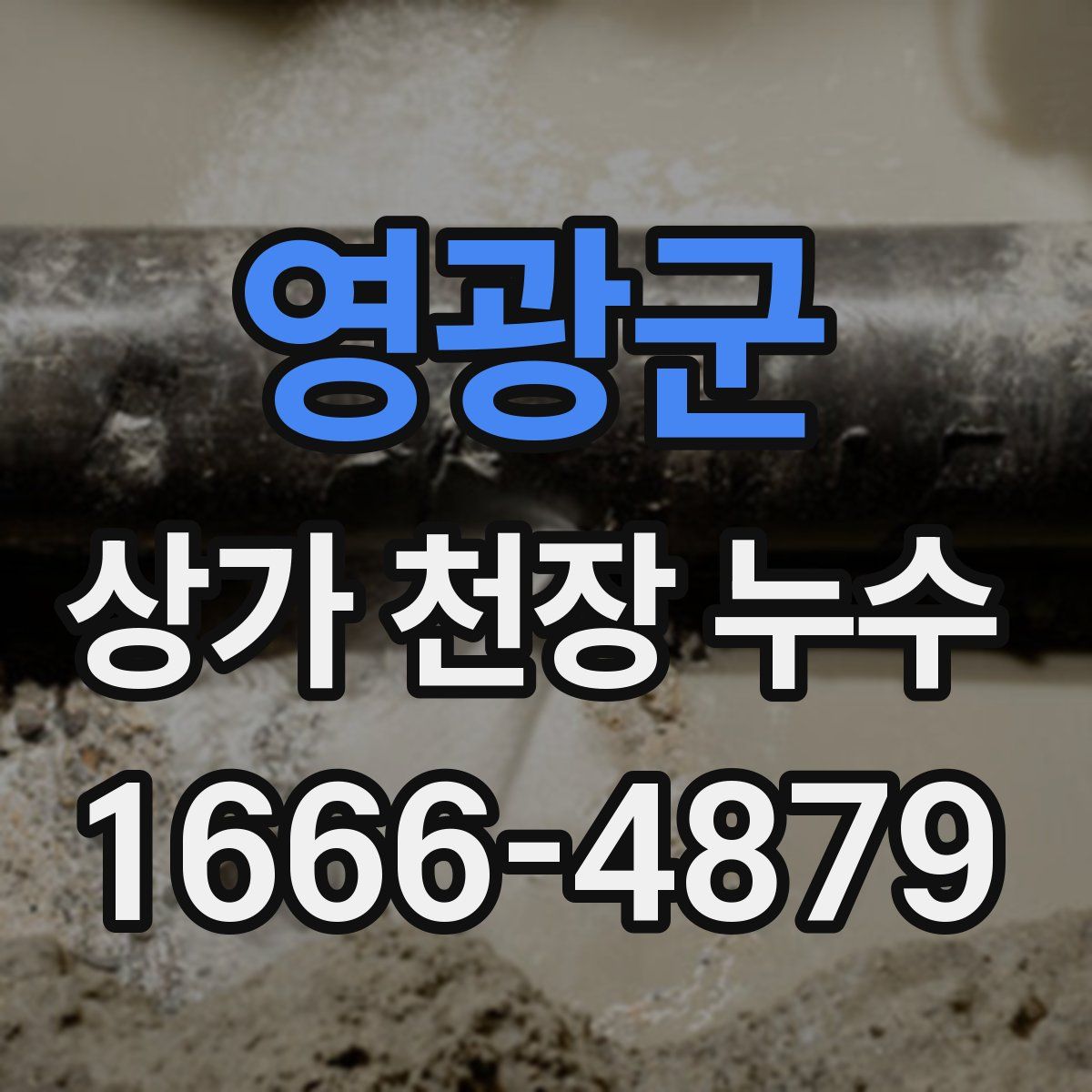 영광군 상가 천장 누수