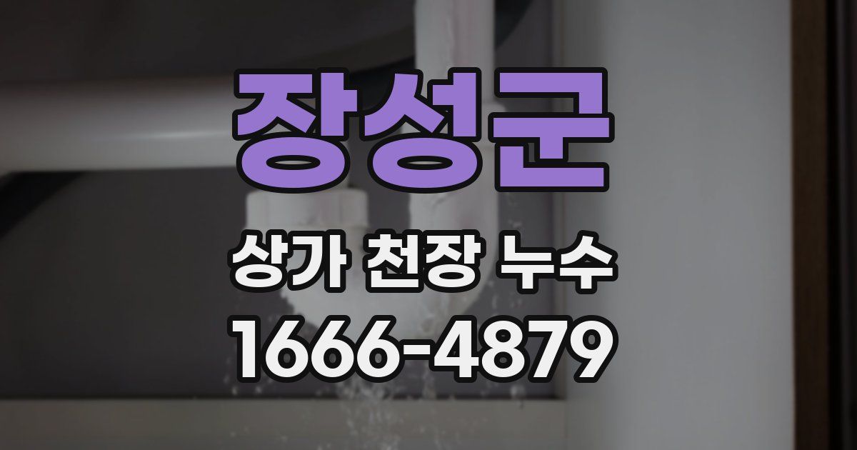 장성군 상가 천장 누수
