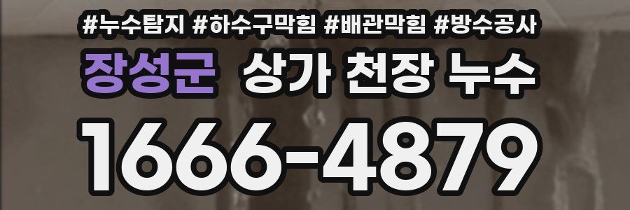 장성군 상가 천장 누수