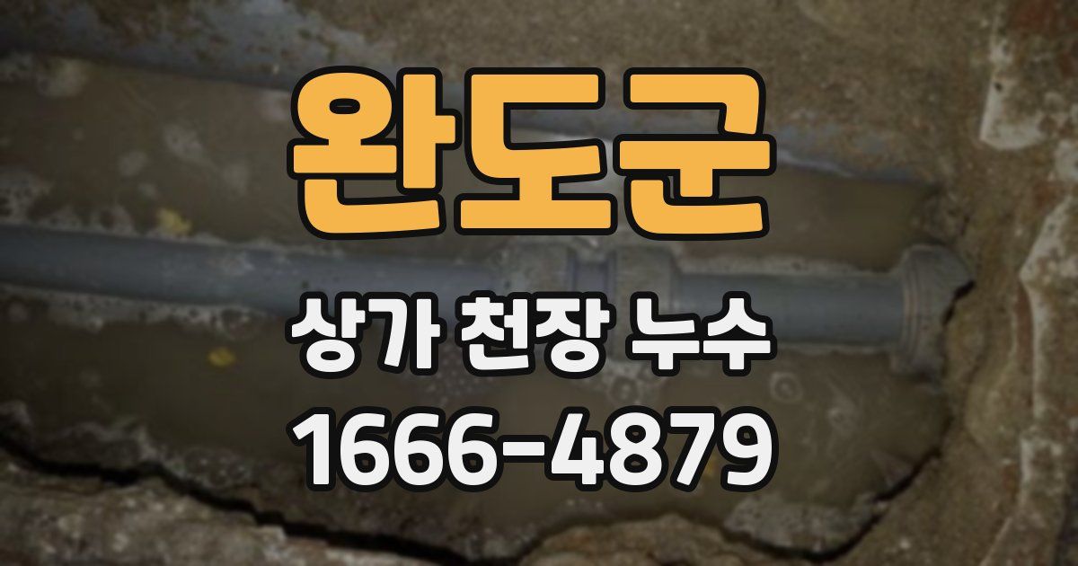 완도군 상가 천장 누수