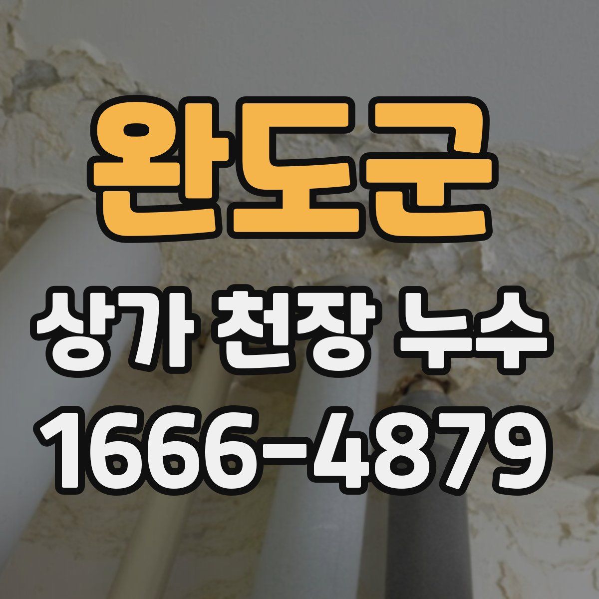 완도군 상가 천장 누수