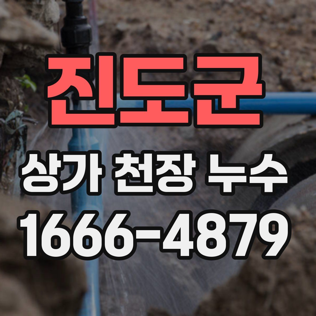 진도군 상가 천장 누수