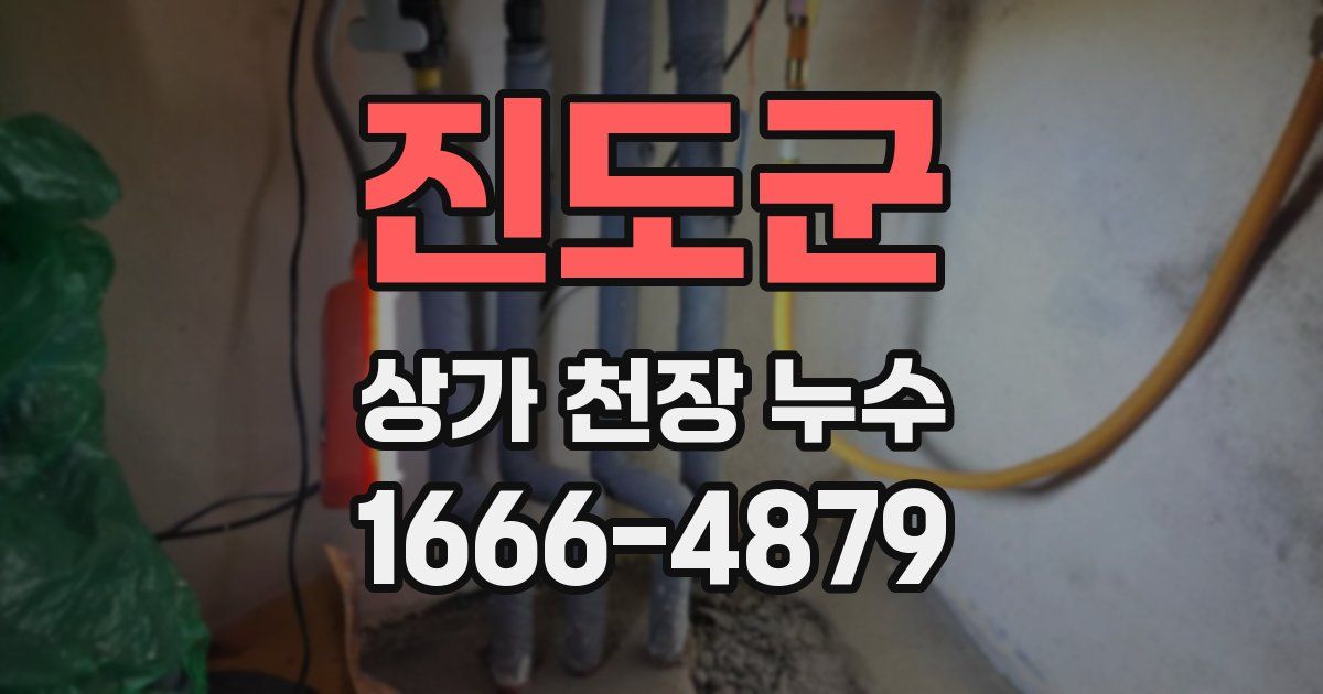 진도군 상가 천장 누수