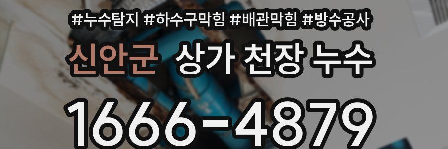 신안군 상가 천장 누수