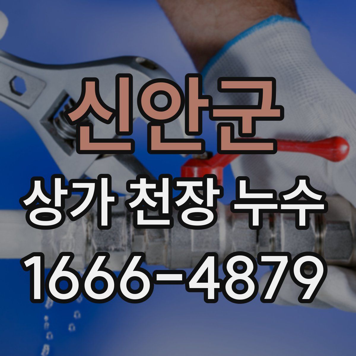 신안군 상가 천장 누수