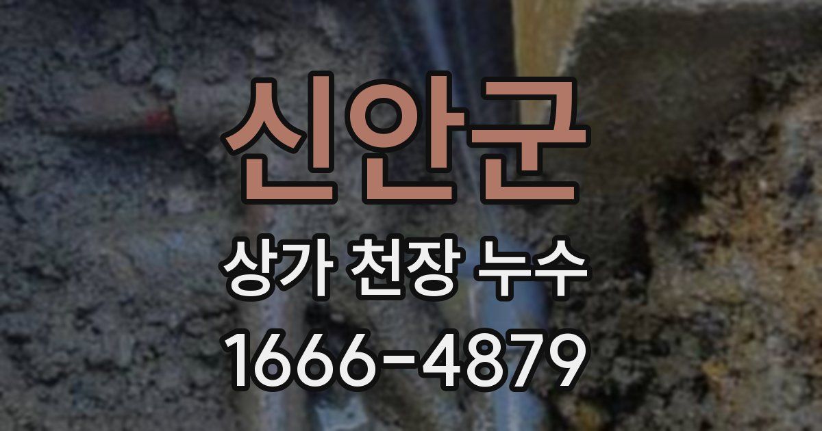 신안군 상가 천장 누수