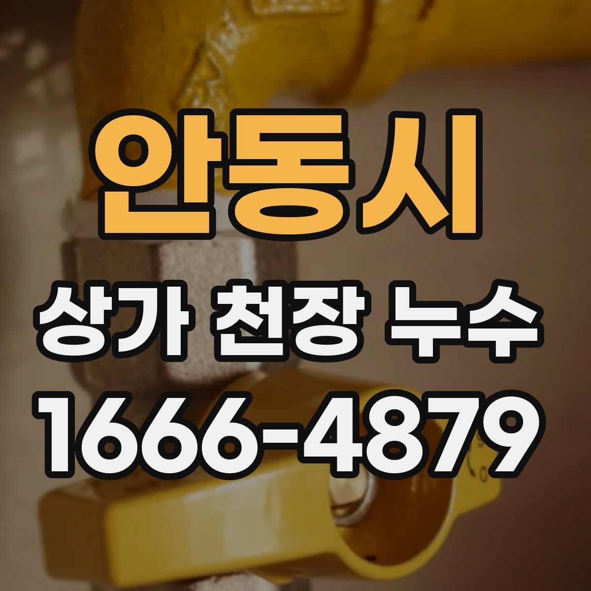 안동시 상가 천장 누수