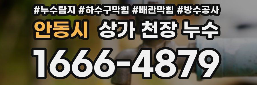 안동시 상가 천장 누수
