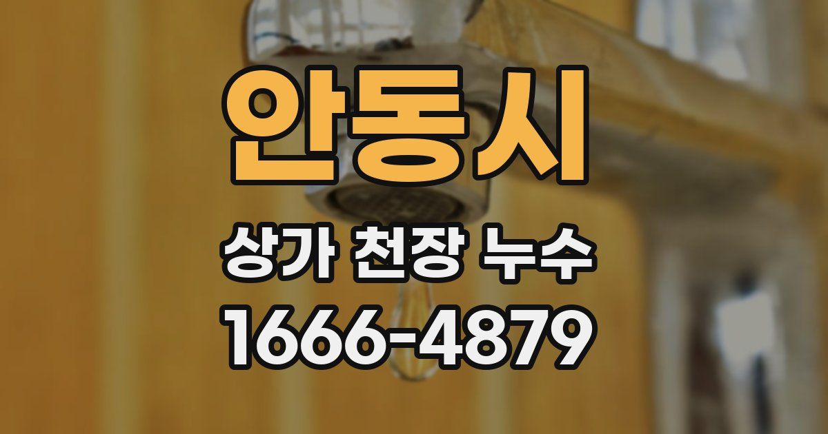 안동시 상가 천장 누수
