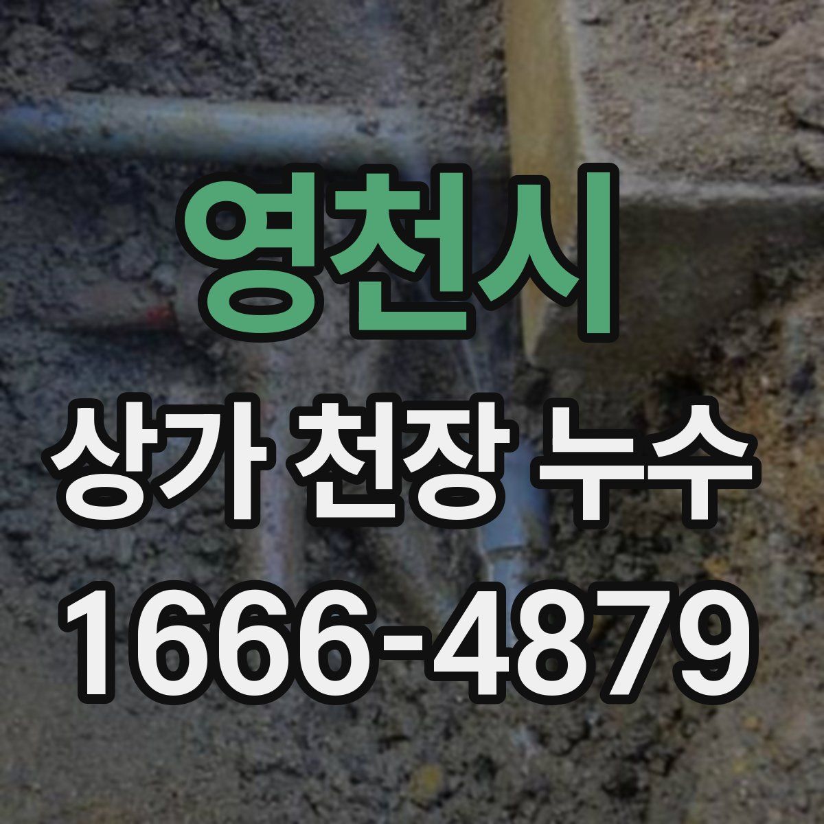 영천시 상가 천장 누수