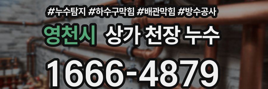 영천시 상가 천장 누수