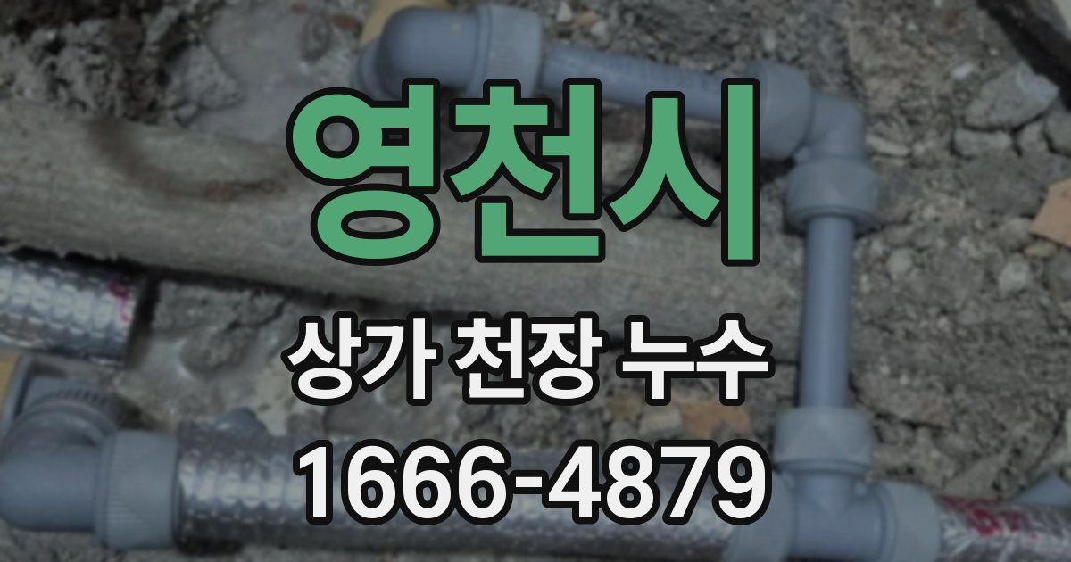 영천시 상가 천장 누수