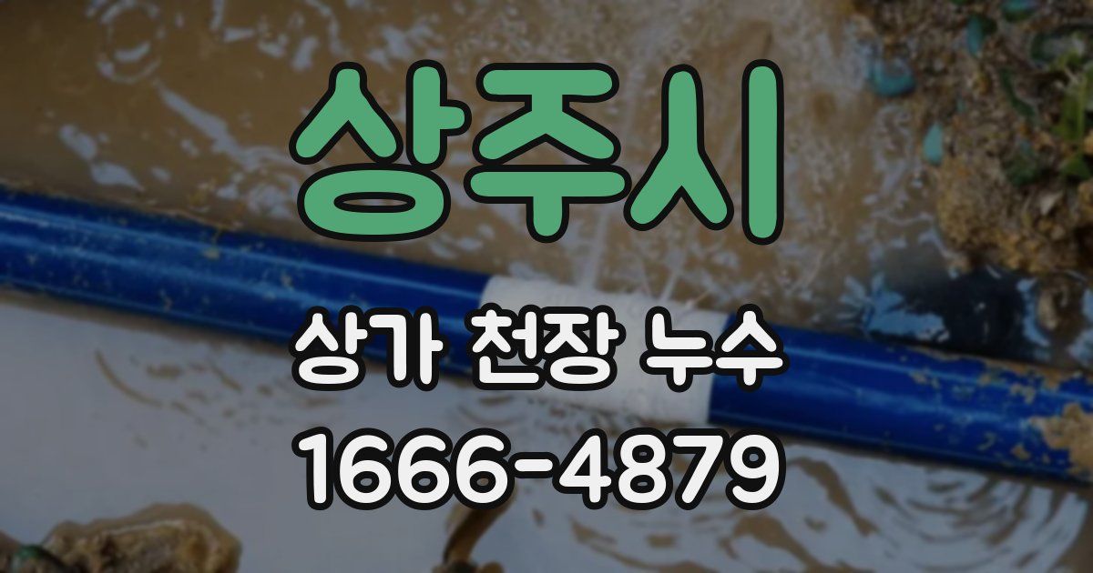 상주시 상가 천장 누수