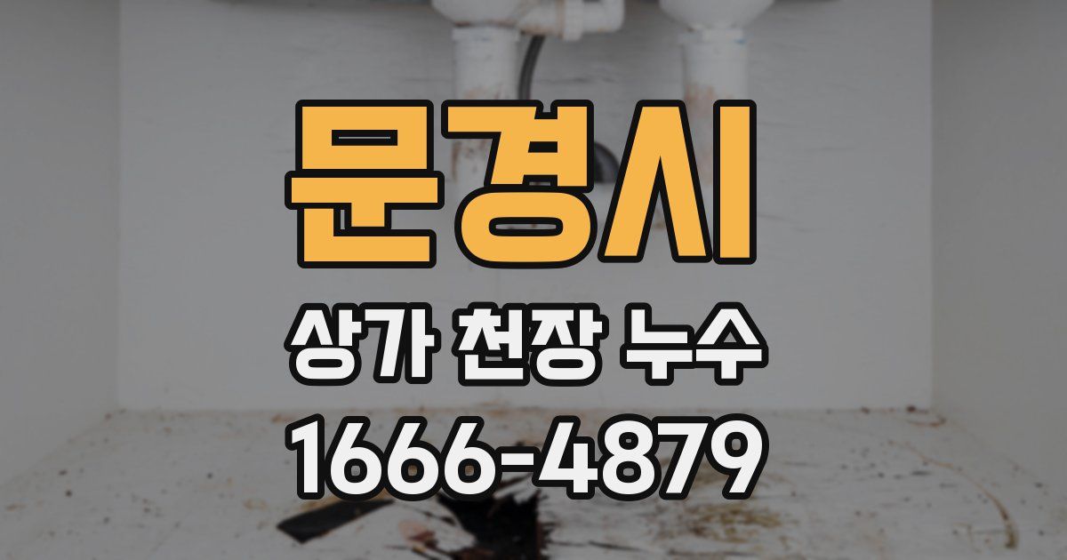 문경시 상가 천장 누수