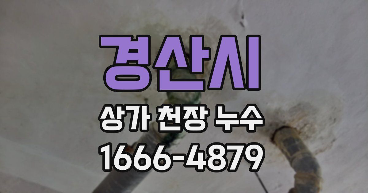 경산시 상가 천장 누수