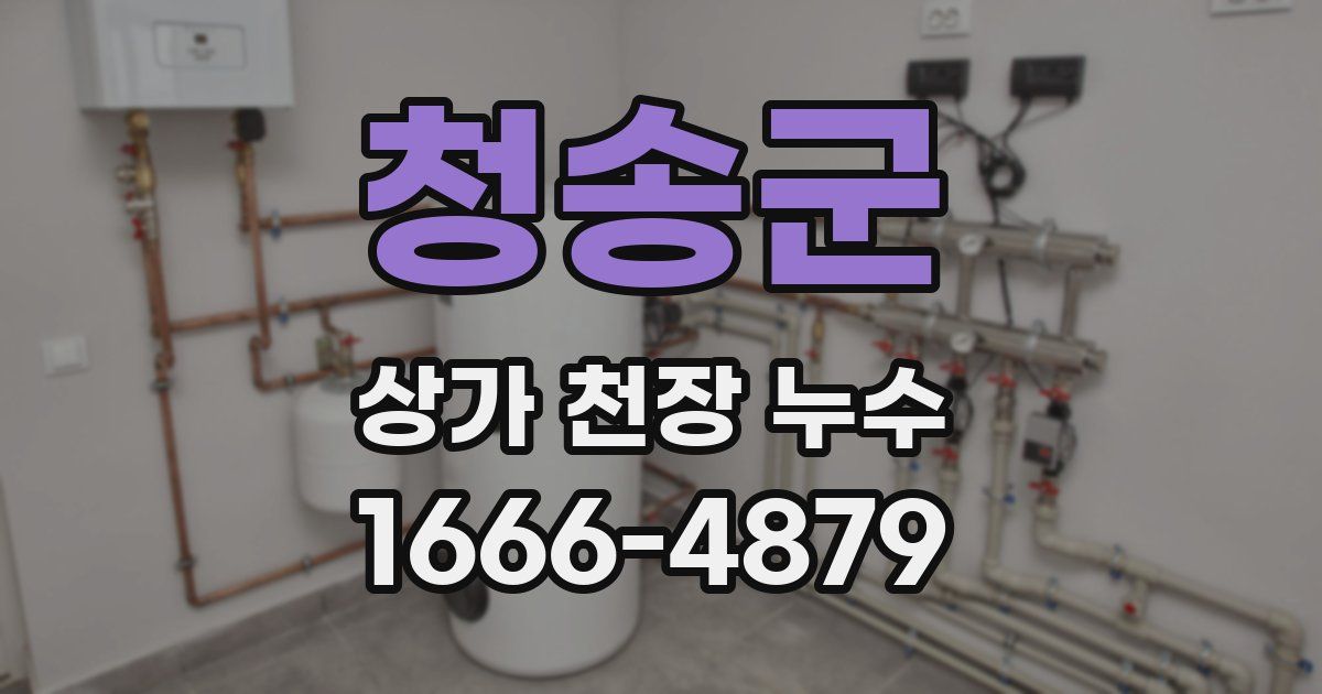 청송군 상가 천장 누수